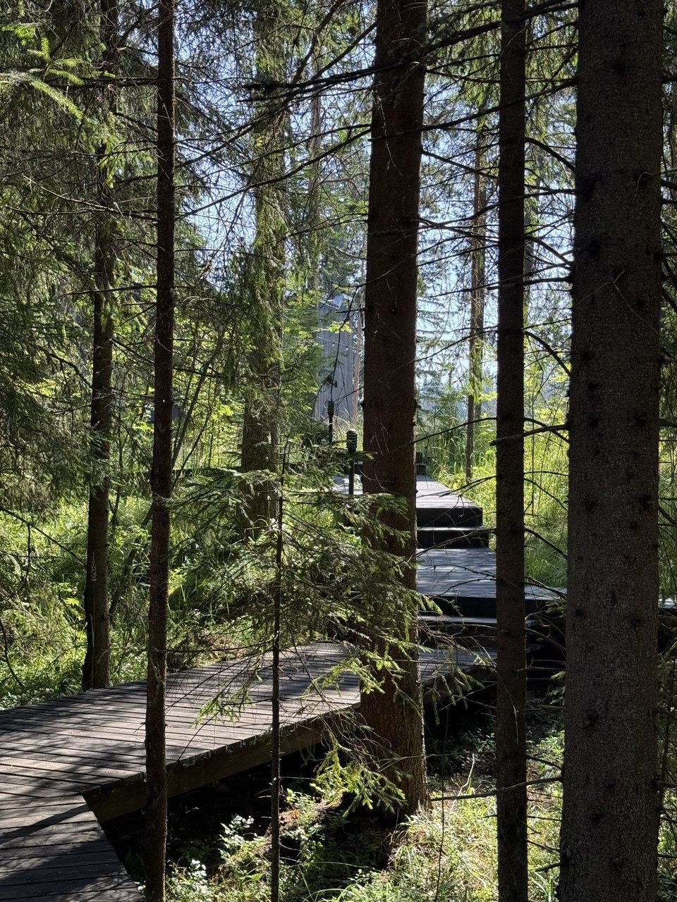 База отдыха в Карелии - фото 8